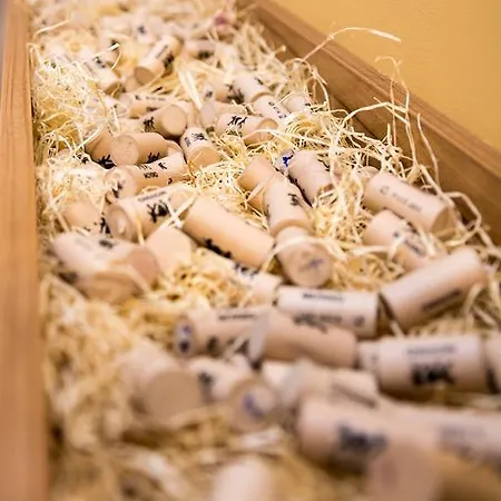 U Vinára 3* Velky Krtis