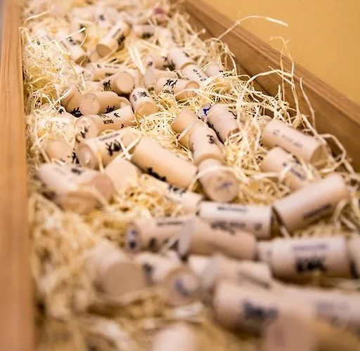 U Vinara 3* Вельки-Кртиш